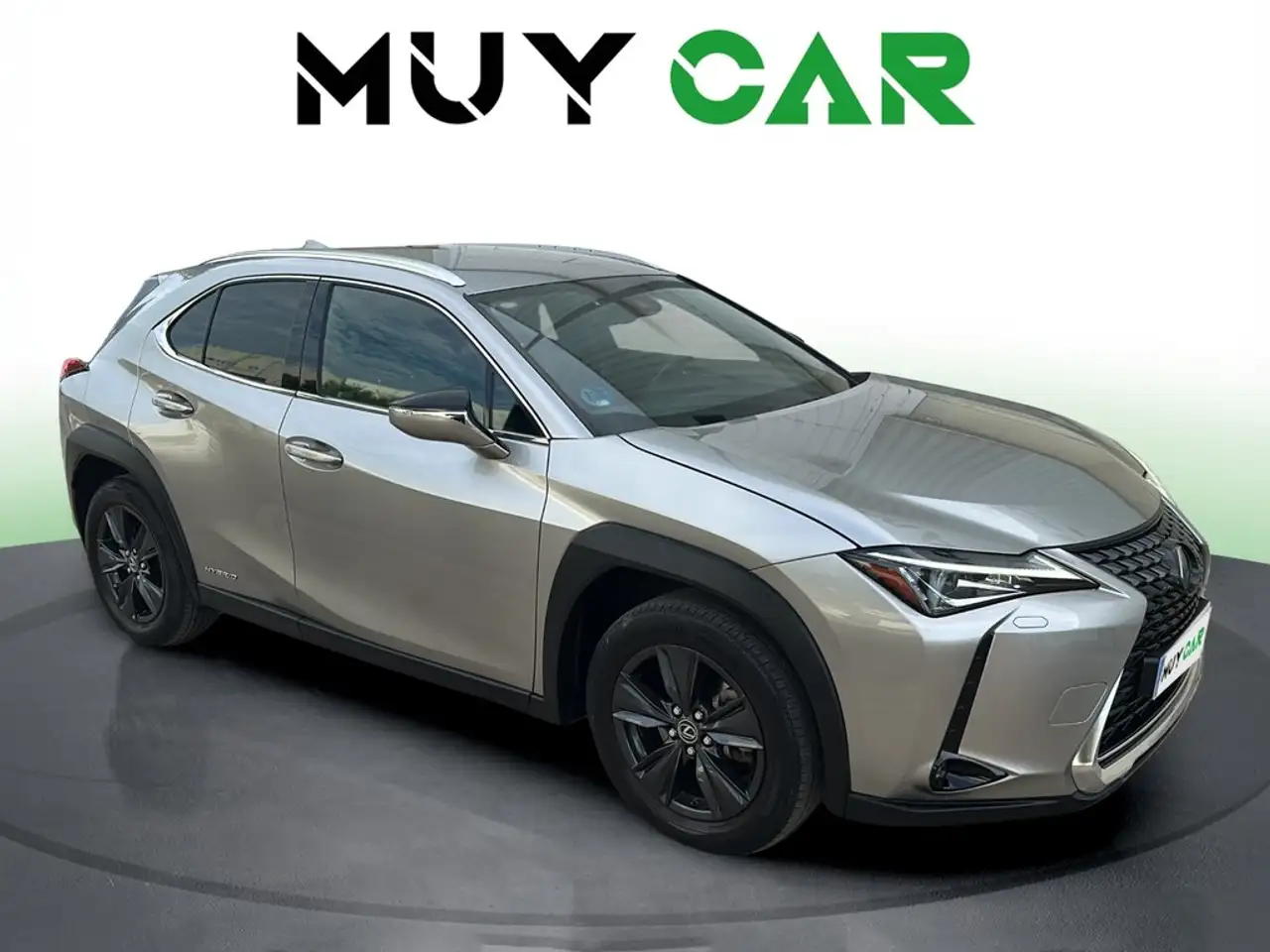 Lexus UX 250h