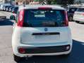 Fiat Panda Panda 1.2 Lounge 69cv Weiß - thumbnail 4