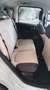 Fiat Panda Panda 1.2 Lounge 69cv Weiß - thumbnail 12