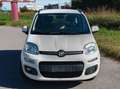 Fiat Panda Panda 1.2 Lounge 69cv Weiß - thumbnail 3
