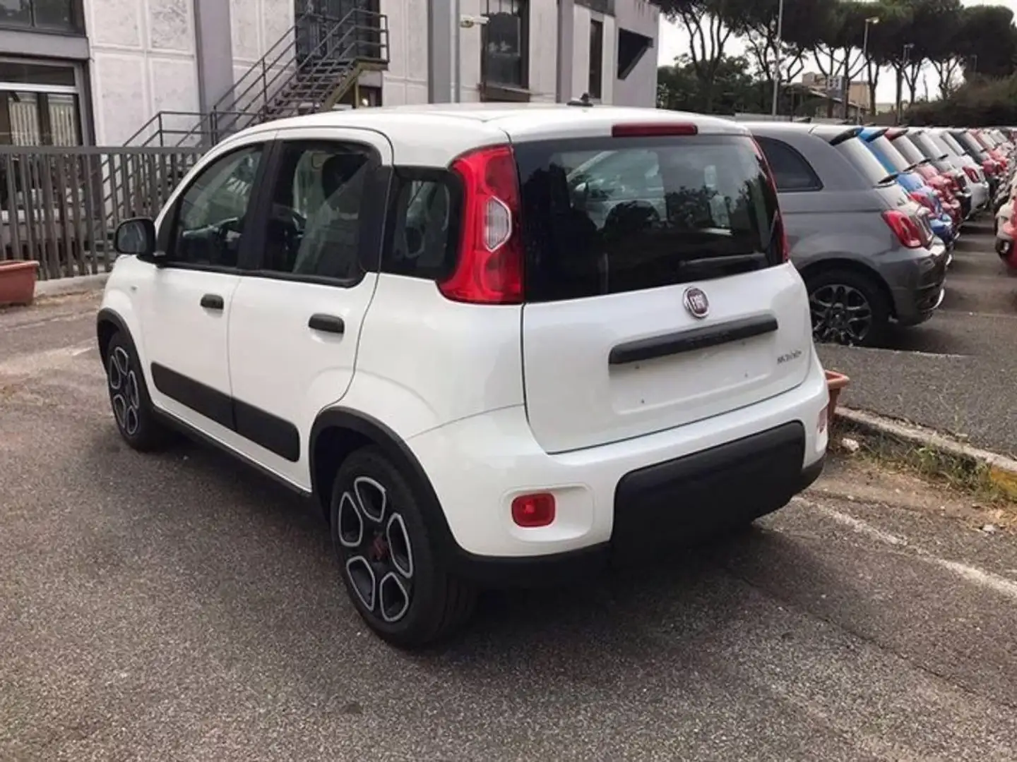 Fiat New Panda 1.0 FireFly Hybrid City Life Weiß - 2