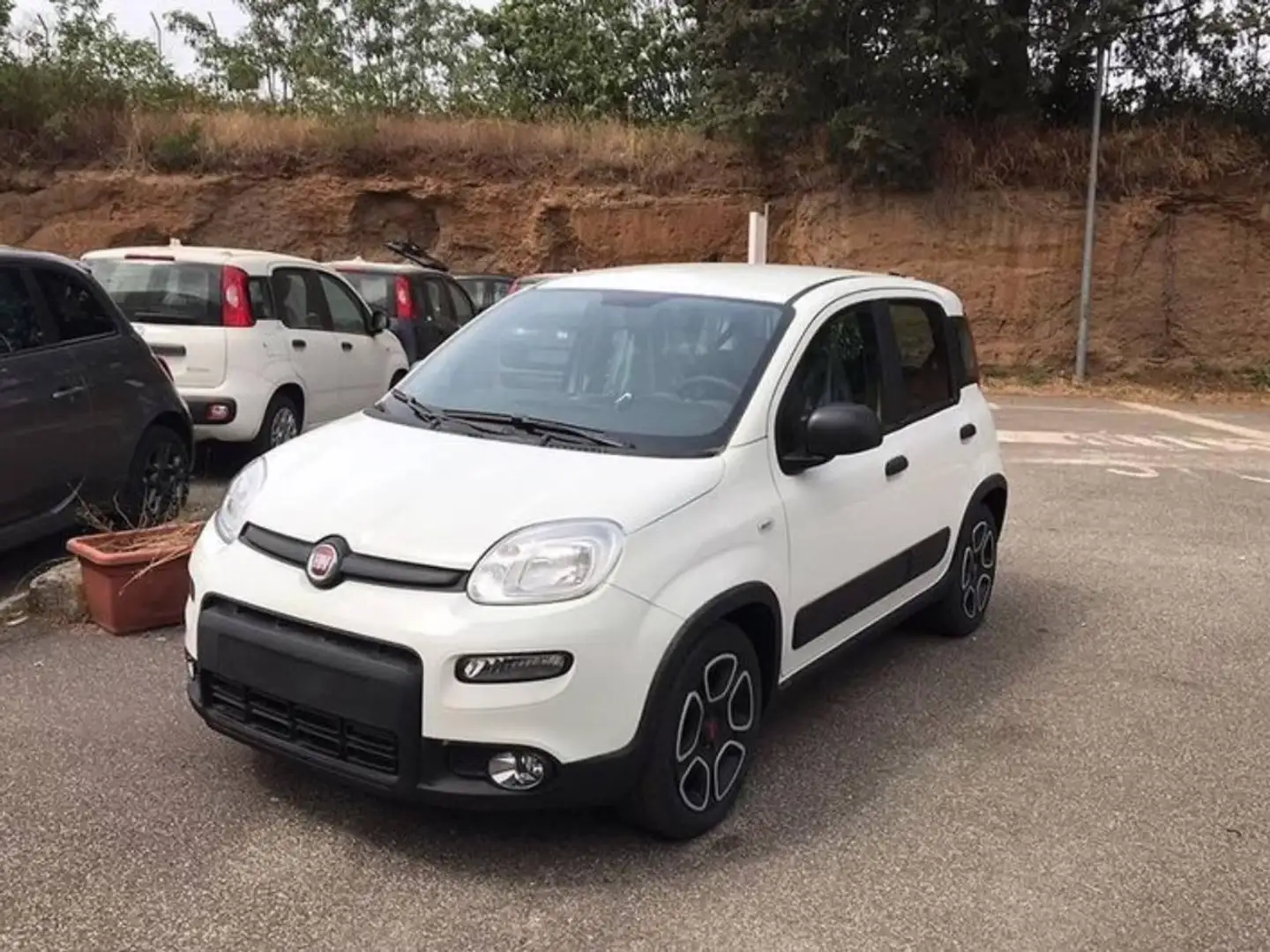 Fiat New Panda 1.0 FireFly Hybrid City Life Weiß - 1