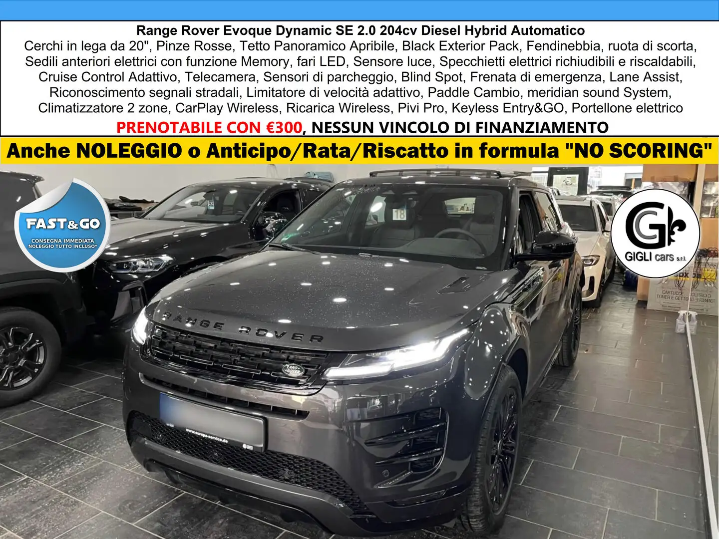 Land Rover Range Rover Evoque Dynamic SE Tetto Navi C.20 BlackPack NEW MODEL Gris - 1