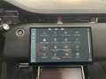 Land Rover Range Rover Evoque Dynamic SE Tetto Navi C.20 BlackPack NEW MODEL Grau - thumbnail 13