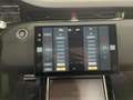 Land Rover Range Rover Evoque Dynamic SE Tetto Navi C.20 BlackPack NEW MODEL Grau - thumbnail 26