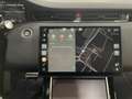 Land Rover Range Rover Evoque Dynamic SE Tetto Navi C.20 BlackPack NEW MODEL Grau - thumbnail 25