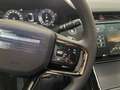 Land Rover Range Rover Evoque Dynamic SE Tetto Navi C.20 BlackPack NEW MODEL Grau - thumbnail 23