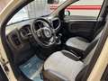 Fiat Panda 1.0 firefly hybrid Cross s&s 70cv 5p.ti - thumbnail 7