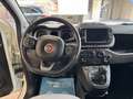 Fiat Panda 1.0 firefly hybrid Cross s&s 70cv 5p.ti - thumbnail 9