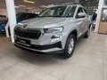 Skoda Karoq Selection TSI Grau - thumbnail 1