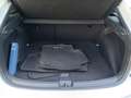 Volkswagen Taigo Taigo 1.0 TSI 110 CV R-Line Wit - thumbnail 12