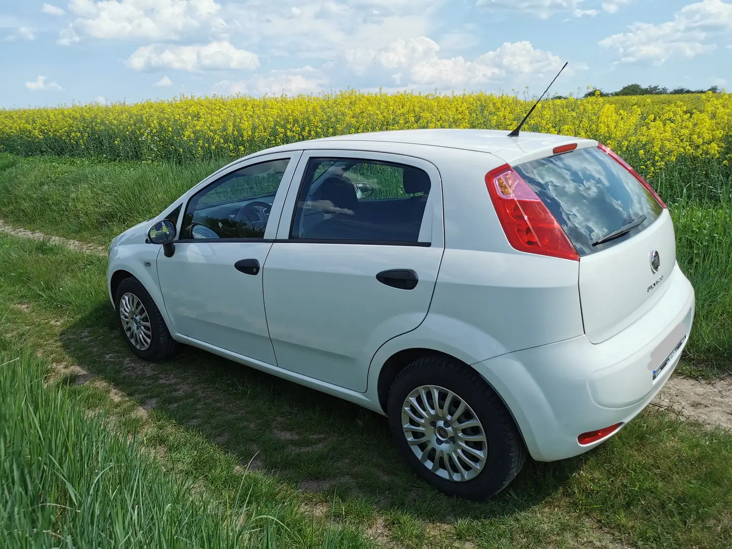 Fiat Punto Evo Punto EVO  5-Türer 1.2 8V Biały - 2