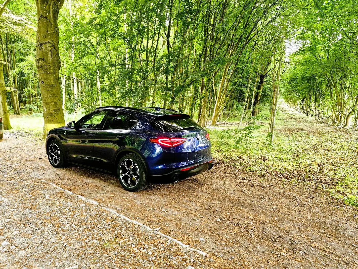 Alfa Romeo Stelvio Stelvio 2.2 JTD Super (EU6d-TEMP) Bleu - 2