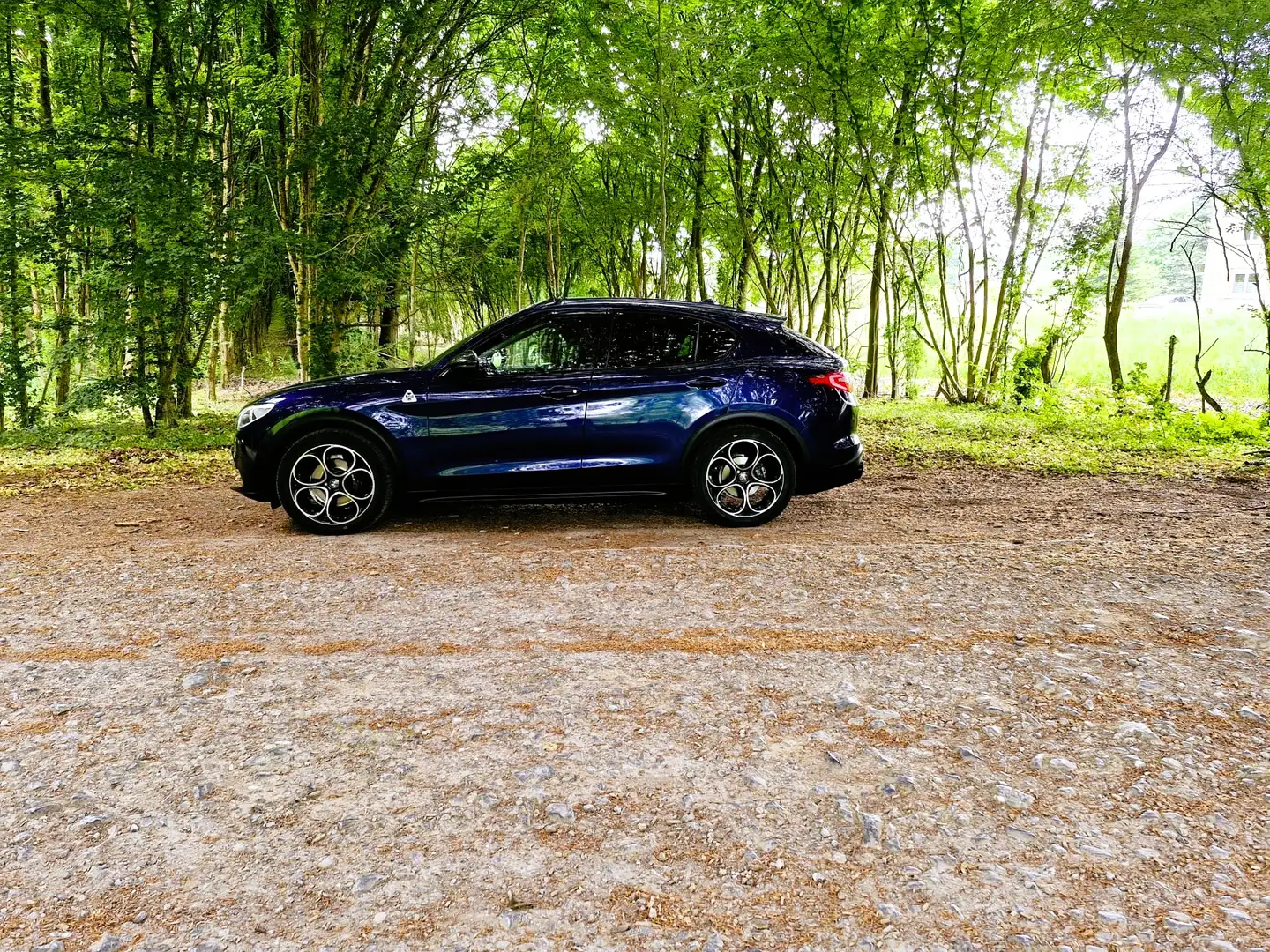 Alfa Romeo Stelvio Stelvio 2.2 JTD Super (EU6d-TEMP) Bleu - 1
