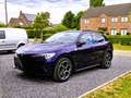 Alfa Romeo Stelvio Stelvio 2.2 JTD Super (EU6d-TEMP) Bleu - thumbnail 4