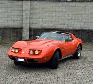 Stingray