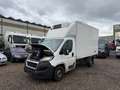 Peugeot Boxer 2.0 3.5t LBW ThermoKing V-500 MAX Blanc - thumbnail 1