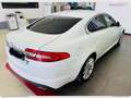 Jaguar XF 2.2 D 200 CV Luxury Bianco - thumbnail 5