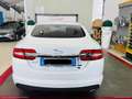 Jaguar XF 2.2 D 200 CV Luxury Bianco - thumbnail 6