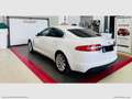 Jaguar XF 2.2 D 200 CV Luxury Bianco - thumbnail 4