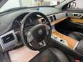 Jaguar XF 2.2 D 200 CV Luxury Bianco - thumbnail 20
