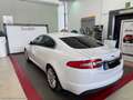 Jaguar XF 2.2 D 200 CV Luxury Bianco - thumbnail 15