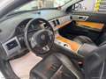 Jaguar XF 2.2 D 200 CV Luxury Bianco - thumbnail 7