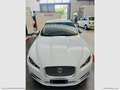 Jaguar XF 2.2 D 200 CV Luxury Bianco - thumbnail 14