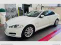 Jaguar XF 2.2 D 200 CV Luxury Bianco - thumbnail 1