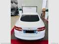 Jaguar XF 2.2 D 200 CV Luxury Bianco - thumbnail 16