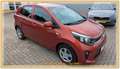 Kia Picanto Edition 7 1.2 84PS SHZG LE-HZG USB BLUET Orange - thumbnail 3