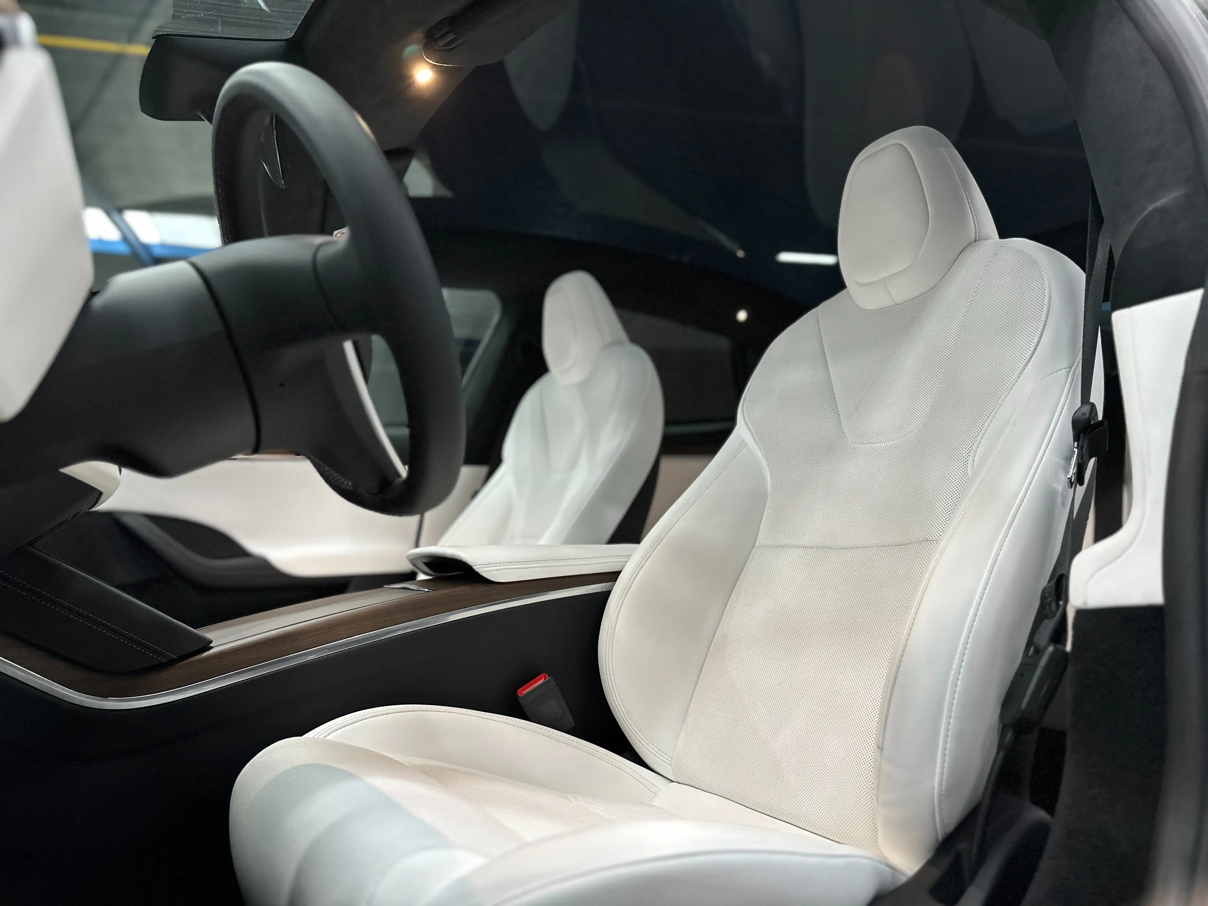 Tesla Model S DUAL MOTOR - FULL MATTE PPF - WHITE INTERIOR — photo 15