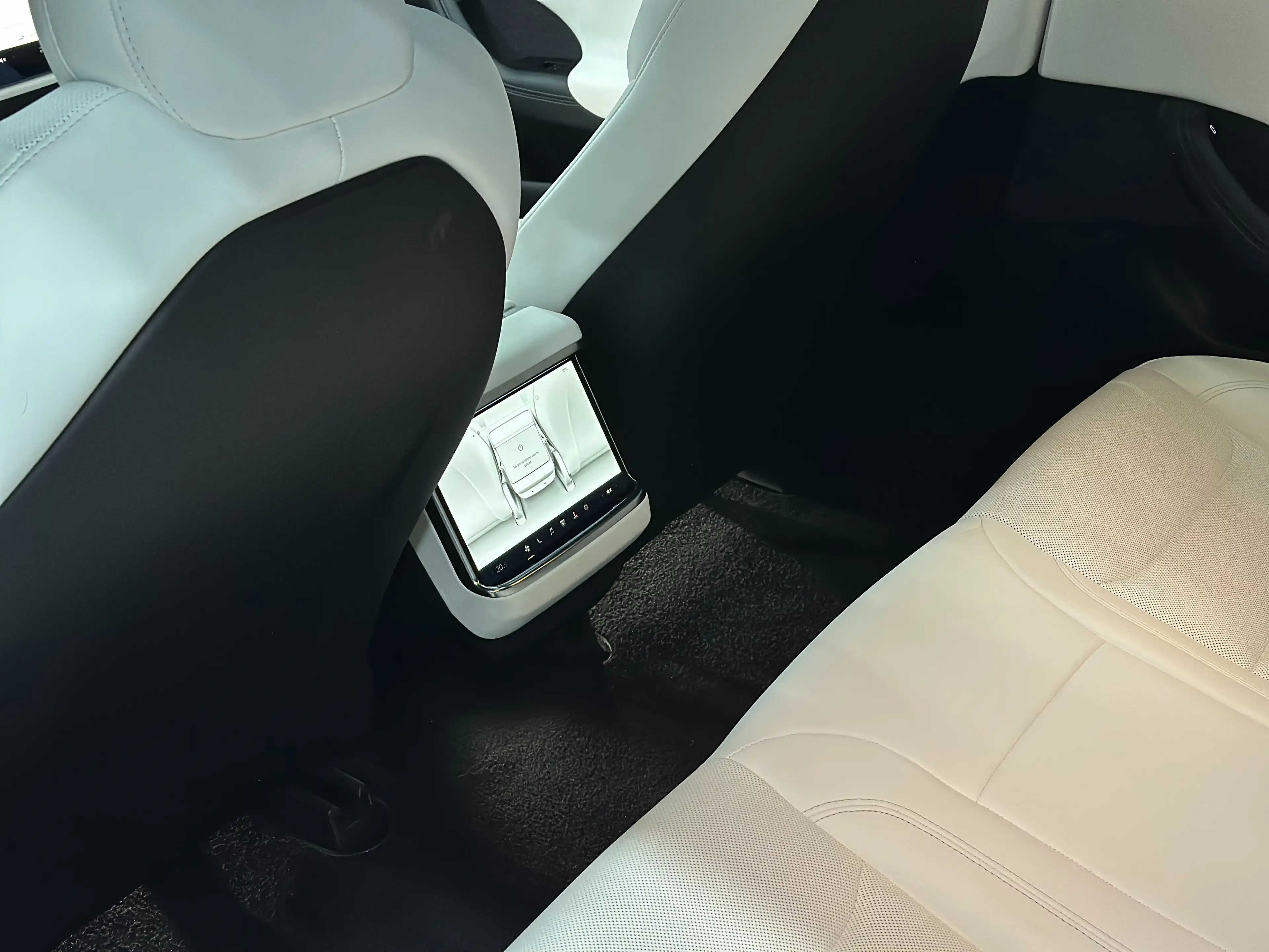 Tesla Model S DUAL MOTOR - FULL MATTE PPF - WHITE INTERIOR — photo 14