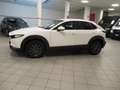 Mazda CX-30 2.0L E-SKYACTIV-G 2WD EVOLVE-HYBRID(122CV)UNIPROPR Bianco - thumbnail 4