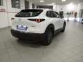 Mazda CX-30 2.0L E-SKYACTIV-G 2WD EVOLVE-HYBRID(122CV)UNIPROPR Bianco - thumbnail 7