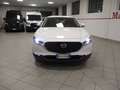 Mazda CX-30 2.0L E-SKYACTIV-G 2WD EVOLVE-HYBRID(122CV)UNIPROPR Bianco - thumbnail 5