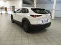 Mazda CX-30 2.0L E-SKYACTIV-G 2WD EVOLVE-HYBRID(122CV)UNIPROPR Bianco - thumbnail 9
