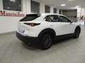 Mazda CX-30 2.0L E-SKYACTIV-G 2WD EVOLVE-HYBRID(122CV)UNIPROPR Bianco - thumbnail 6