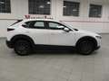 Mazda CX-30 2.0L E-SKYACTIV-G 2WD EVOLVE-HYBRID(122CV)UNIPROPR Bianco - thumbnail 3