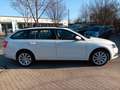 Skoda Octavia Combi Tour Apple CarPlay Klima Sitzheiz. Weiß - thumbnail 3