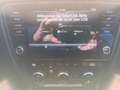 Skoda Octavia Combi Tour Apple CarPlay Klima Sitzheiz. Weiß - thumbnail 12