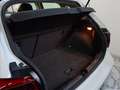 Volkswagen Polo 1.0 Advance 59kW Wit - thumbnail 11