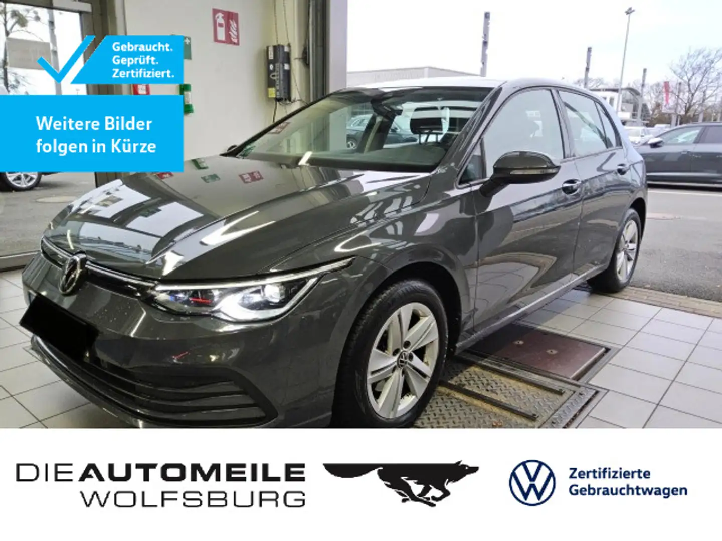 Volkswagen Golf 8 VIII 1.5 eTSI DSG Life AHK/Pano/ACC Grau - 1