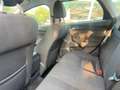 Ford Focus SW 1.5 tdci Business S&S Blu/Azzurro - thumbnail 15