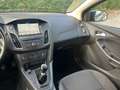 Ford Focus SW 1.5 tdci Business S&S Blu/Azzurro - thumbnail 13