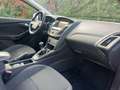 Ford Focus SW 1.5 tdci Business S&S Blu/Azzurro - thumbnail 14