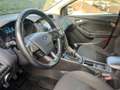 Ford Focus SW 1.5 tdci Business S&S Blu/Azzurro - thumbnail 9