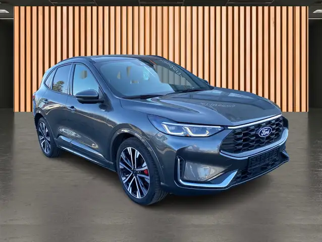 Ford Kuga view 15