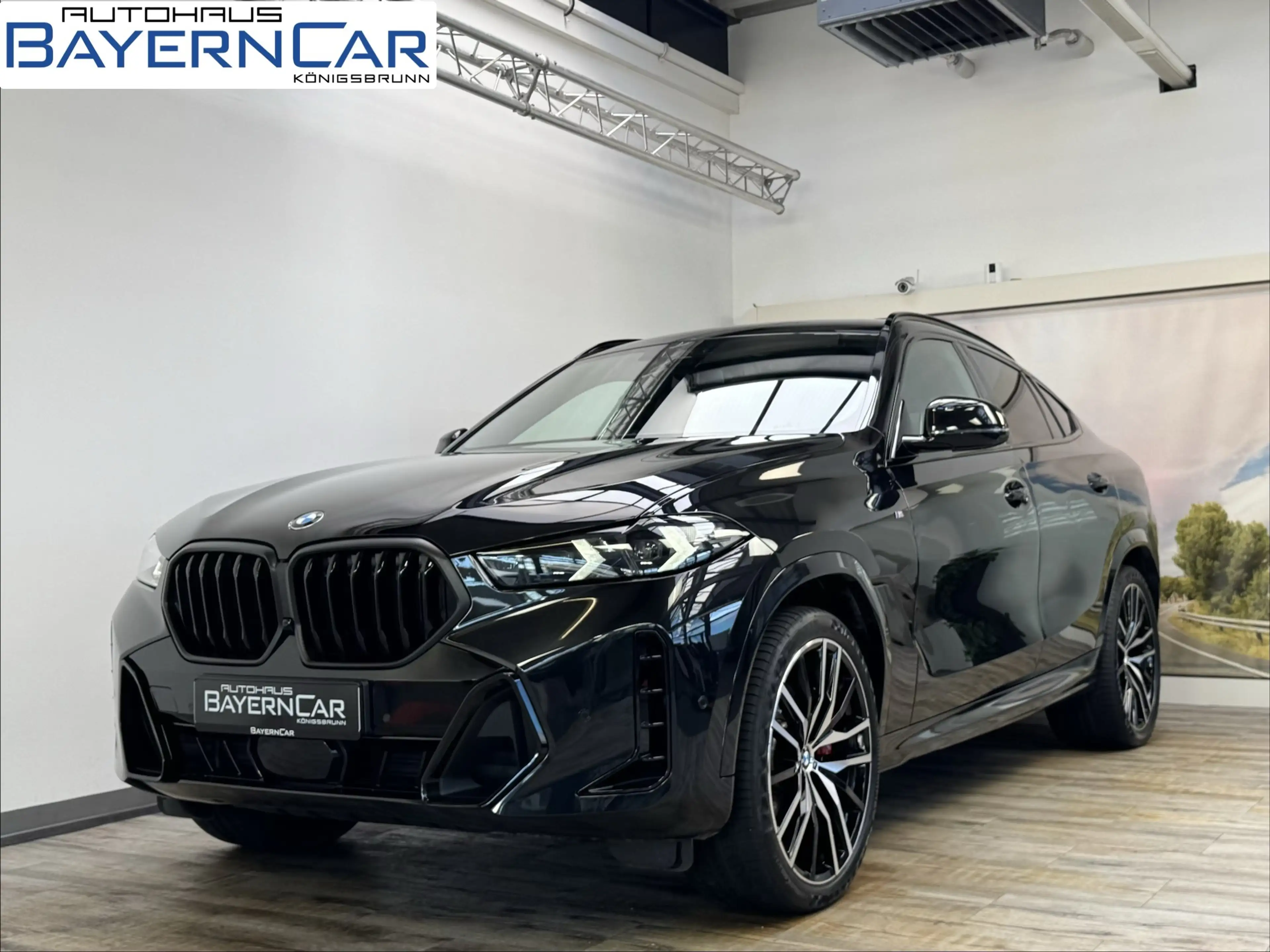 BMW X6 xDr30d M Sport Pro ACC 360°Pano H&K 22Zoll