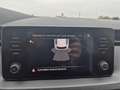 Skoda Kamiq 1.0 g-tec Ambition 90cv PREZZO REALE SERVICE SKODA Gris - thumbnail 15